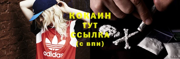 крисы Абаза