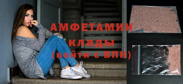 крисы Абаза