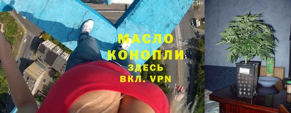 крисы Абаза