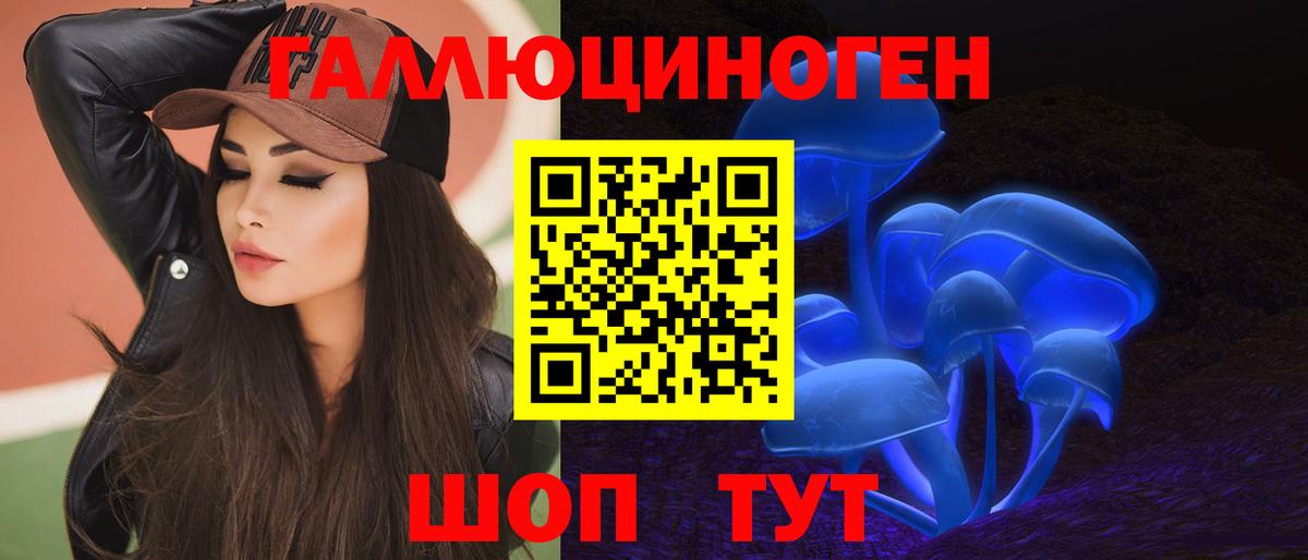 Курск  Псилоцибиновые грибы прущие грибы  Вход с VPN 